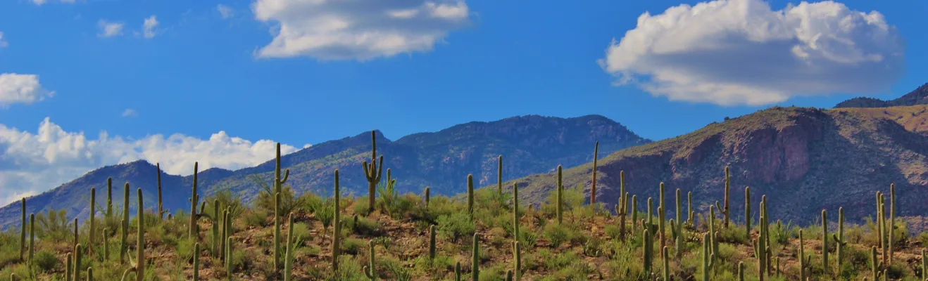 seo-services-phoenix